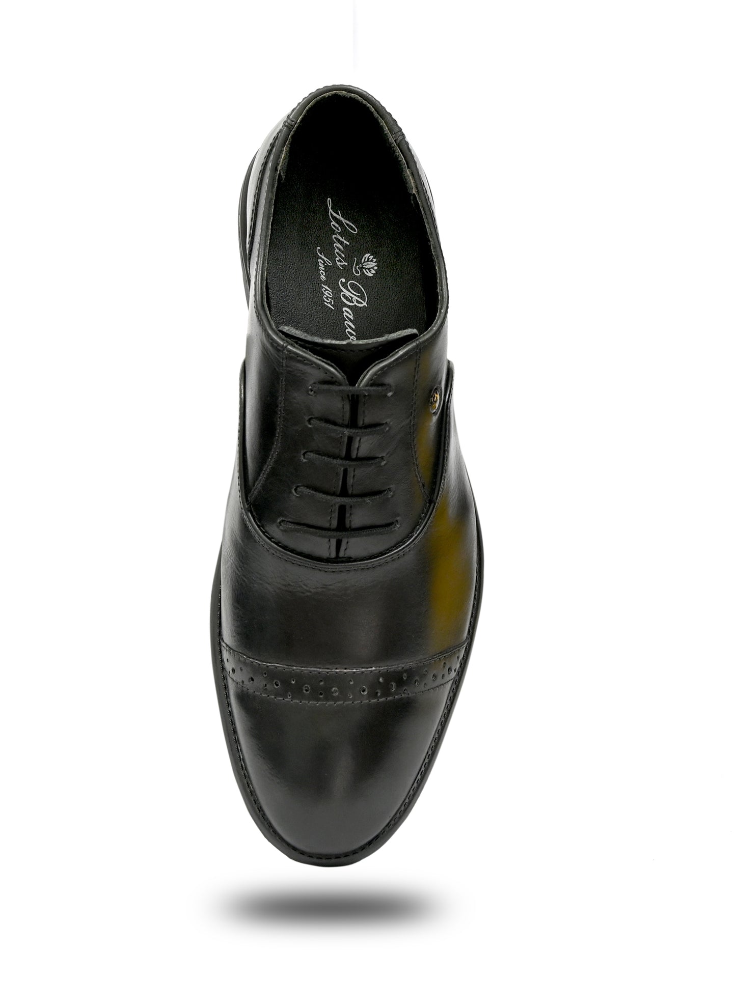 Oxford Balmral