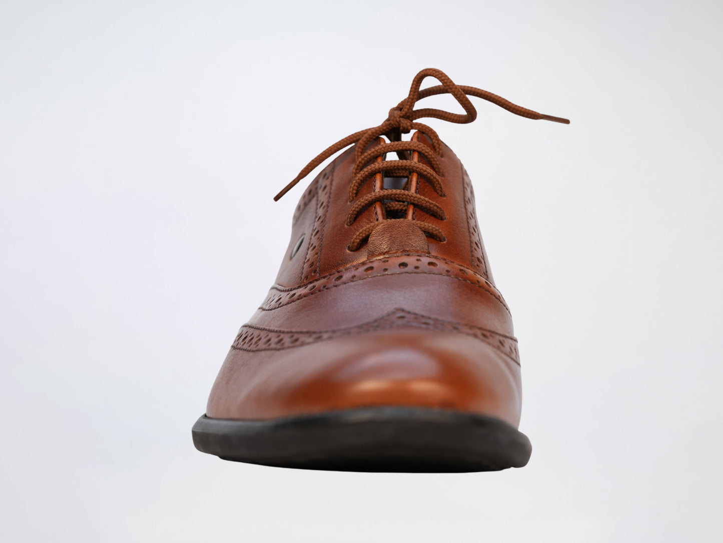 Long Wing Brogue Brown