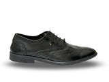 Long Wing Brogue