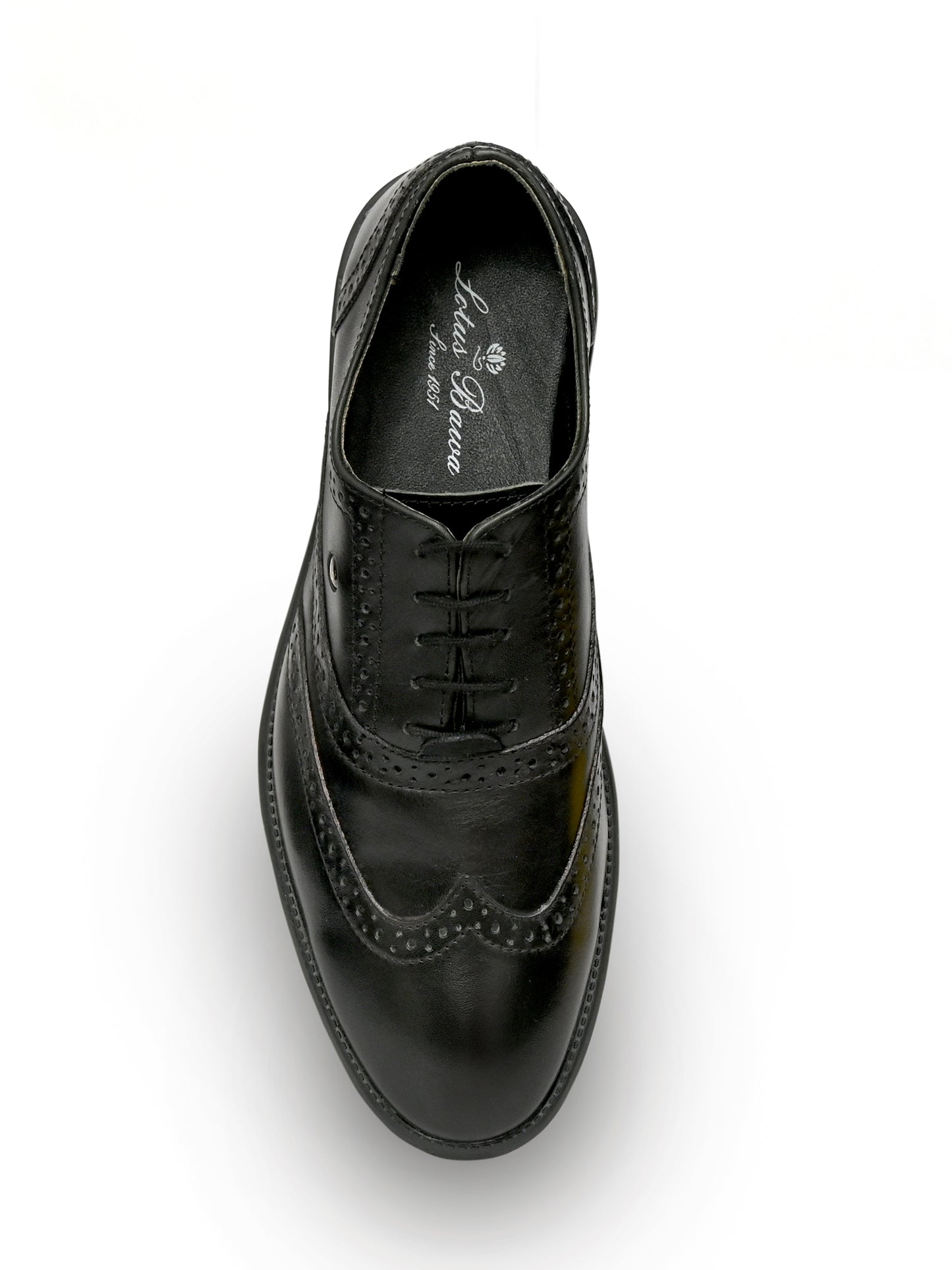 Long Wing Brogue
