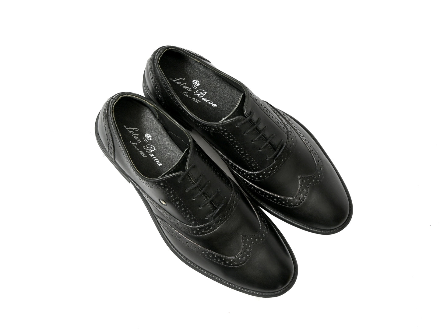 Long Wing Brogue