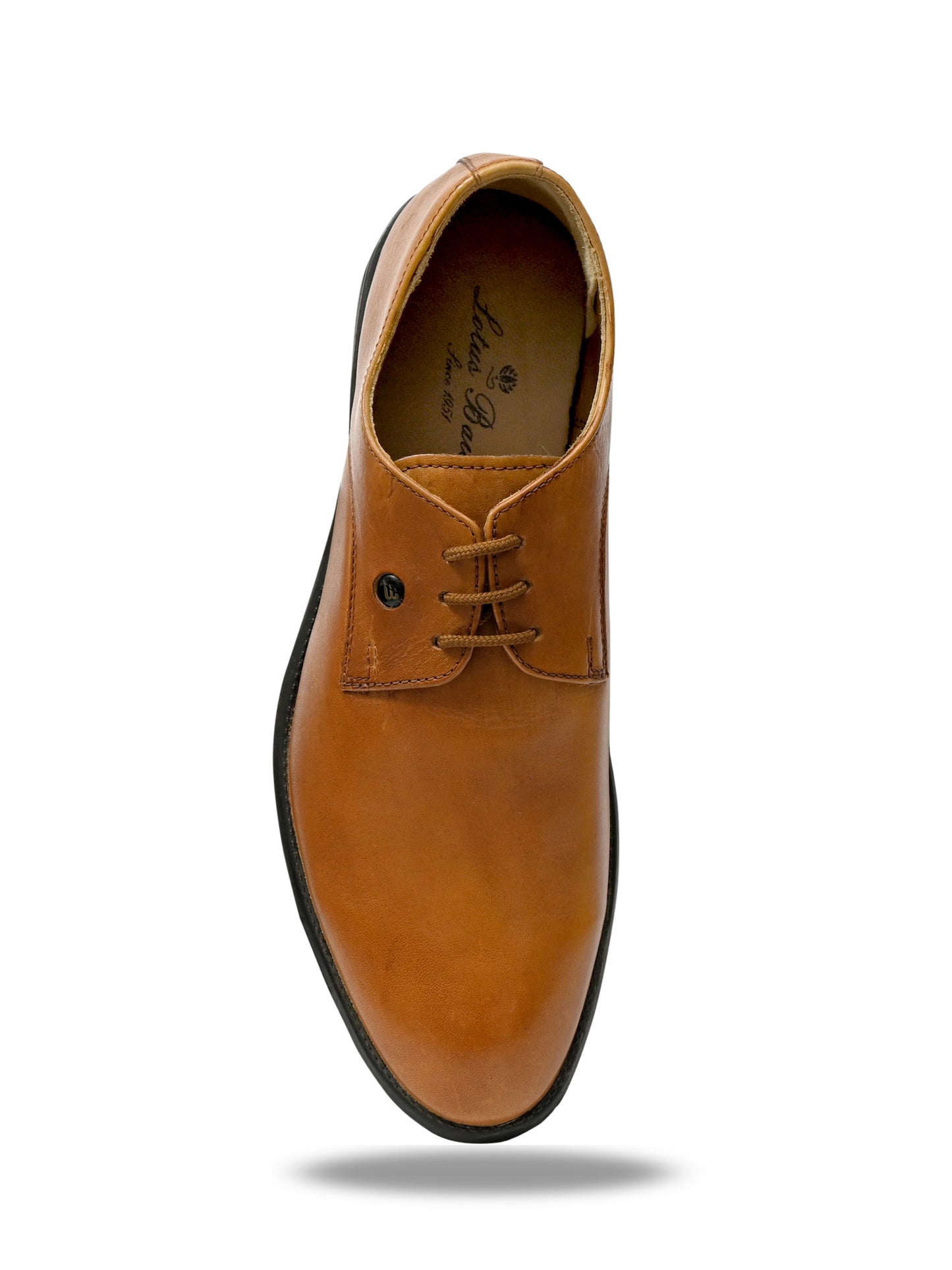 Luxury Derby