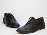Long Wing Brogue